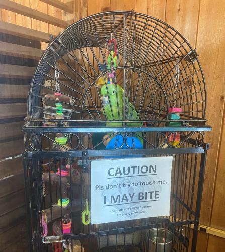 Village Inn Destin - image 6