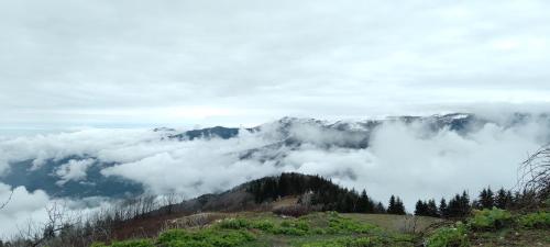  Erdem apart otel in Trabzon