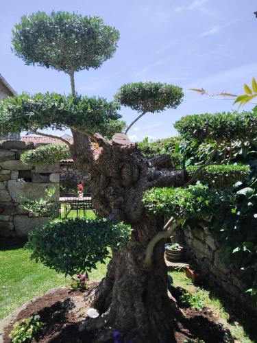 Casa Elvira gîte à louer Viveiro
