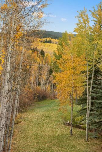 Two Creeks by Snowmass Vacations