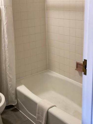 White Rose Motel - image 8