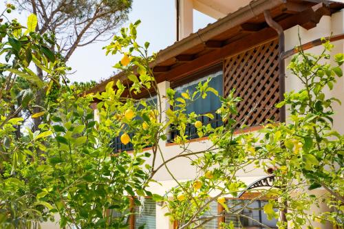 Appartamenti Sole di Sardegna Mare 2 gîte à louer Cala Liberotto