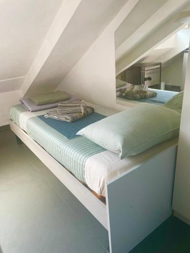 Mansarda GALLIARI F51, Turín (fotografie 3)
