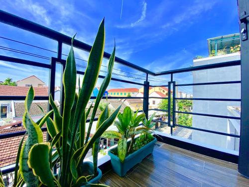 Little Boss Homestay, Hoi An (fotografie 10)