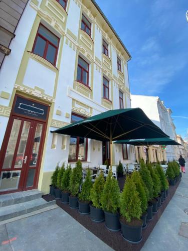 Vista exterior, Penzión Deloris (Penzion Deloris) in Trencin