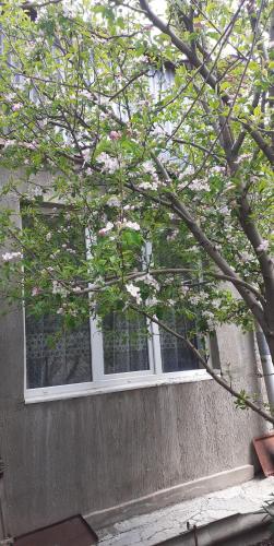 Guest House OTILIA in Gyumri