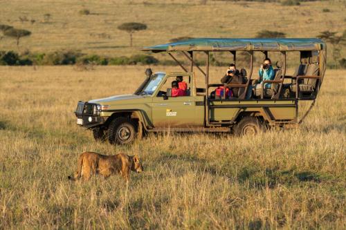 Basecamp Masai Mara