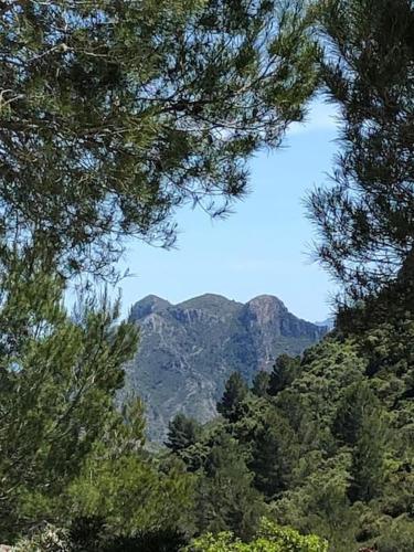 Walkers paradise close to beaches in Gandia gîte à louer El Realengo