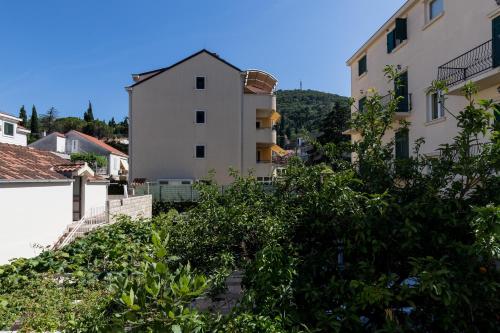 Apartments Radulovic - image 3