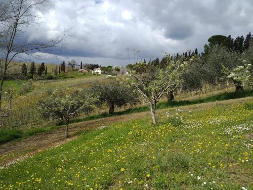 Agriturismo Ca'de'Gatti