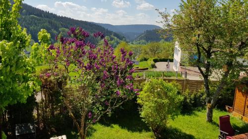 Große Wohnung mit Balkon Sulzbergblick in Alpirsbach - Apartment