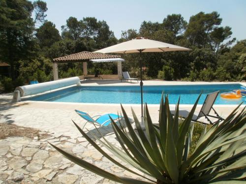 Lorgues, La Tourelle, immense piscine, plongeoir, vue, au grand calme