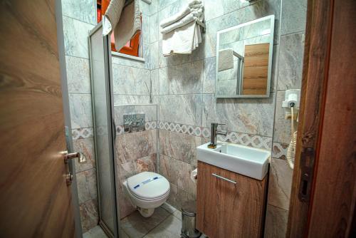 Bozcaada Hotel Vitis - image 3