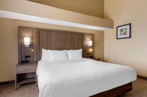 Comfort Suites DFW Airport in Irving, USA