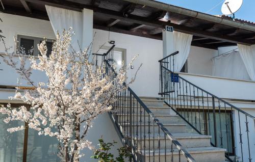 Two-Bedroom Apartment image 9