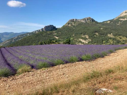 Essentiel Barret in Barret-sur-Méouge