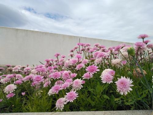Casa Strombolicchio gîte à louer Ginostra