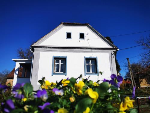 Őrség Kincse Udvarház - Apartment - Hegyhátszentjakab