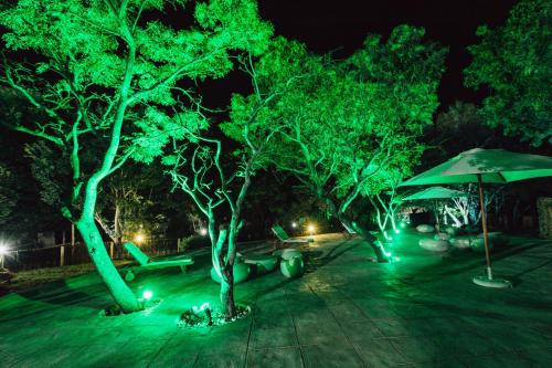 泳池, Pecan Bush Lodge in 馬加利斯堡