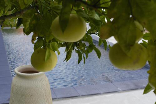 Residence Hotel Baia Portinenti - image 12