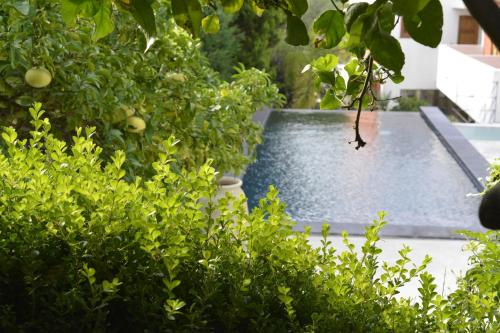 Residence Hotel Baia Portinenti - image 3