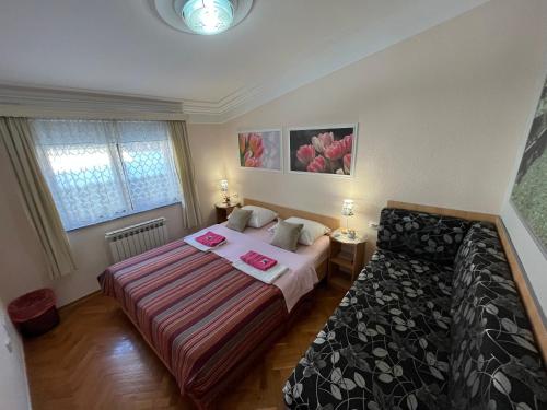 Hostel Dino - image 2