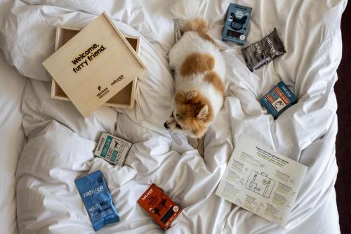 Pousada Palácio Estoi, Small Luxury Hotels