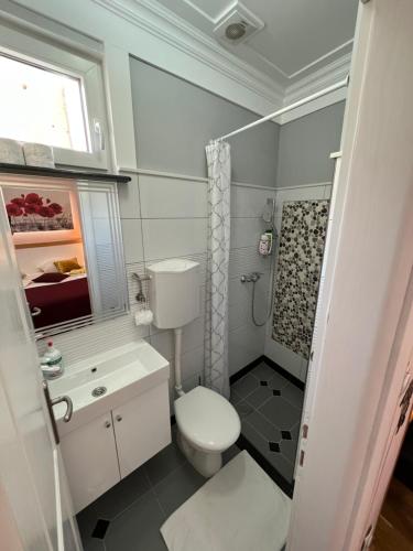 Hostel Dino - image 11