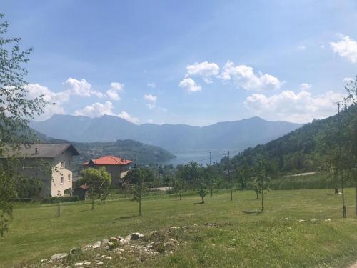 la farfalla di Susà