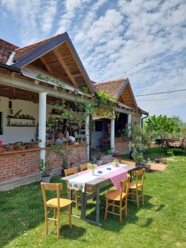 Amanet House Zasavica in Zasavica