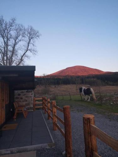1 Bed Cabin in the Magical Galloway Forest Park, Newton Stewart (fotografie 8)
