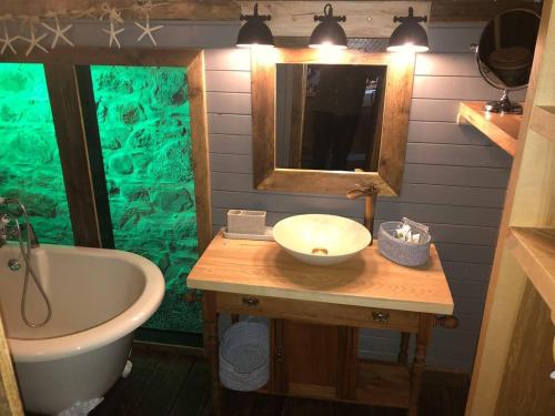 1 Bed Cabin in the Magical Galloway Forest Park, Newton Stewart (fotografie 10)
