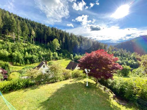 Ferienwohnung zur Bierliebe - Mit toller Aussicht im Herzen des Schwarzwaldes in Hornberg, Deutschland