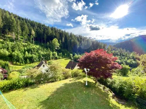 Ferienwohnung zur Bierliebe - Mit toller Aussicht im Herzen des Schwarzwaldes in Hornberg, Deutschland