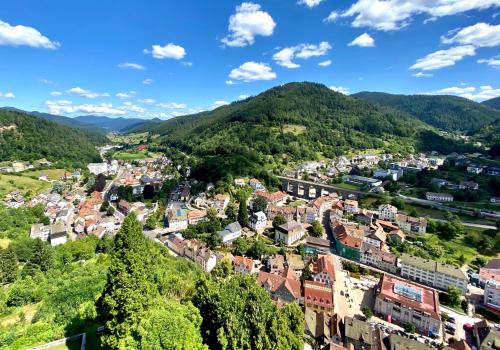 Ferienwohnung zur Bierliebe - Mit toller Aussicht im Herzen des Schwarzwaldes