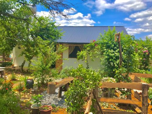 Plum Hill - Moc Chau