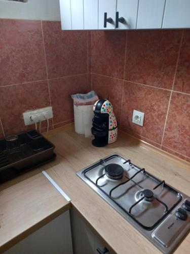 Stan u maslinama Stan u maslinama