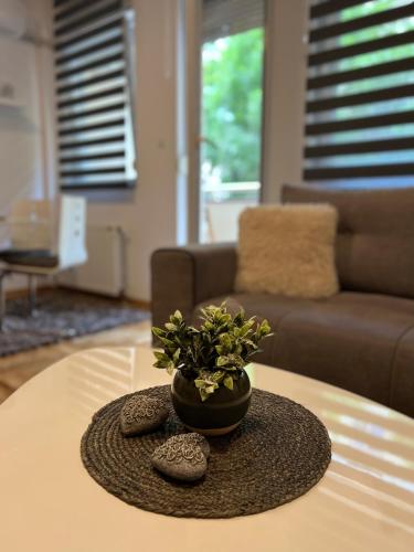 One-Bedroom Apartment image 10