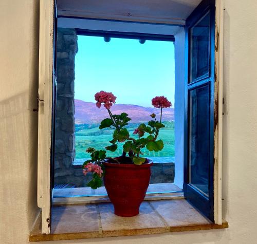 Casa Lunacer, Ronda (photo 6)