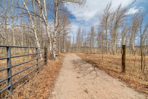 A Private and Relaxing Home Nestled in an Aspen Grove - Heart of the Aspens in Fairplay, USA