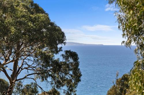 Maddlyn, Lorne (Foto 2)
