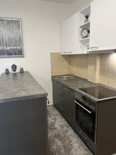One-Bedroom Apartment image 5