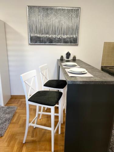 One-Bedroom Apartment image 9