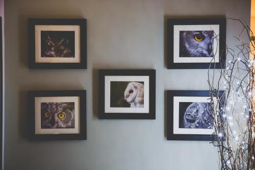 Eagle and Child Ramsbottom - image 10