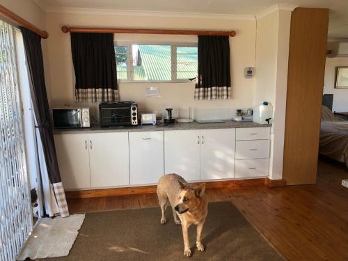 Bee’s Knees Cottage in 溫特頓