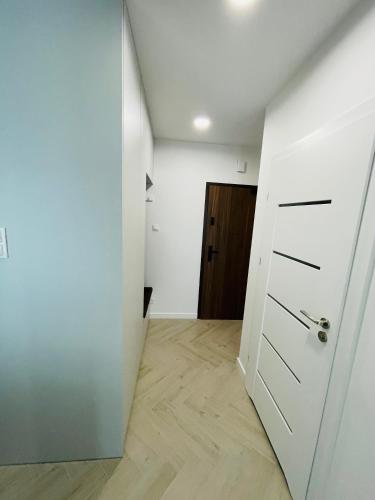 One-Bedroom Apartment image 6