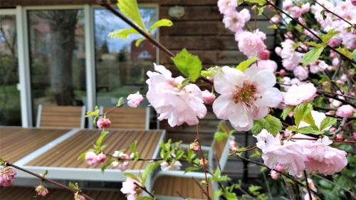 fewos am kleinen meer