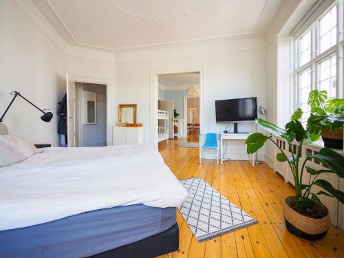 Spacious apartment in the heart of Copenhagen, Copenhagen (photo 9)