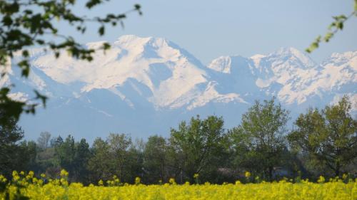 Gîte La Tourasse Les Tournesols