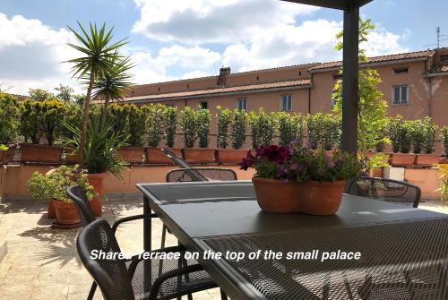 Apartments Cedro 21 - image 14